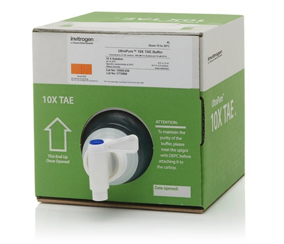 Буфер TAE (Трис-ацетат-ЭДТА), UltraPure, 10Х, Thermo FS