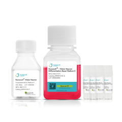 Набор для дифференцировки иПСК в моторные нейроны hPSC-Motor Neuron Differentiation Kit, Nuwacell