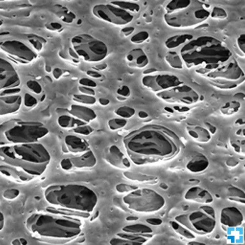 Фильтр, Экспресс, d пор 0,22 мкм, d мембраны 25 мм, 100 шт., Merck (Millipore)