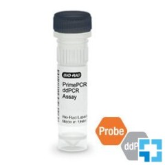 Набор KRAS G13D мутация PrimePCR ddPCR, 200 реакций, Bio-Rad
