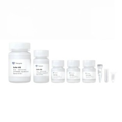 Набор для выделения ДНК из геля FastPure, мини, Vazyme