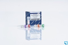 Набор QuantiTect Rev. Transcription Kit, Qiagen