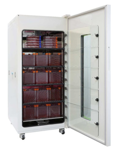 CO2-инкубатор, 880 л, прямой нагрев, ИК-датчик двухволновой, 1 внутренняя дверца, MaxCell, NBT203XXL-1D, N-Biotek