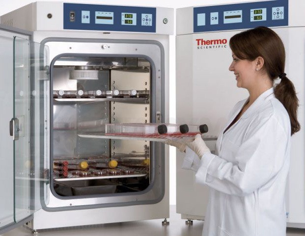 335_inkubator-8000-WJ-Thermo.jpg