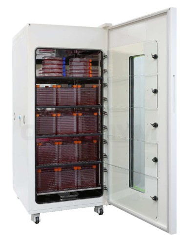 CO2-инкубатор, 880 л, прямой нагрев, ИК-датчик двухволновой, 2 внутренние дверцы, MaxCell, NBT203XXL-2D, N-Biotek