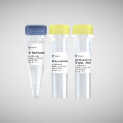 Набор для клонирования ClonExpress Ultra One Step Cloning Kit V2, Vazyme
