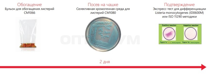Основа бульона для листерий ONE, Thermo FS