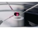 Капилляры VacuTip II, для ИКСИ, угол наклона 25°, d внутренний 60 мкм, d внешний 110 мкм, стерильные, 25 шт./уп., Caliber (Eppendorf)