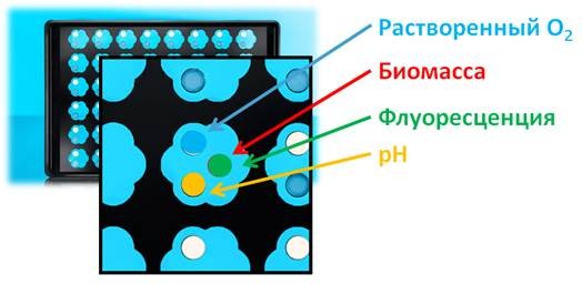 Планшет с лепестковыми лунками Flower Plate, непрозрачный, без оптодов, 10 шт., M2p-labs
