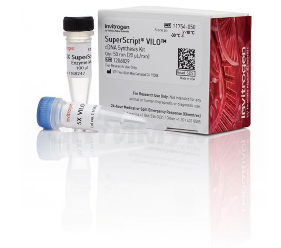 Набор SuperScript VILO cDNA Synthesis Kit, Thermo FS