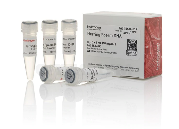 Раствор ДНК спермы сельди/Herring Sperm DNA Solution, UltraPure, Thermo FS