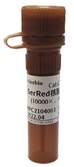 Краситель SerRed, 10’000×, Servicebio