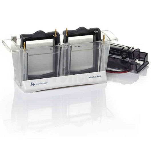 Электрофорезная вертикальная камера Mini Gel Tank, 8х8 см, 2 геля (арт. A25977), Thermo FS