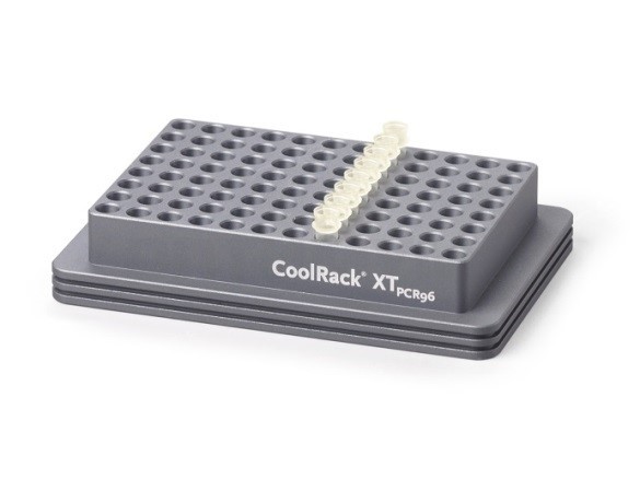 Штатив CoolRack XT PCR96, для 96-луночных планшет или пробирок 0,2 мл в стрипах, Corning (BioCision)