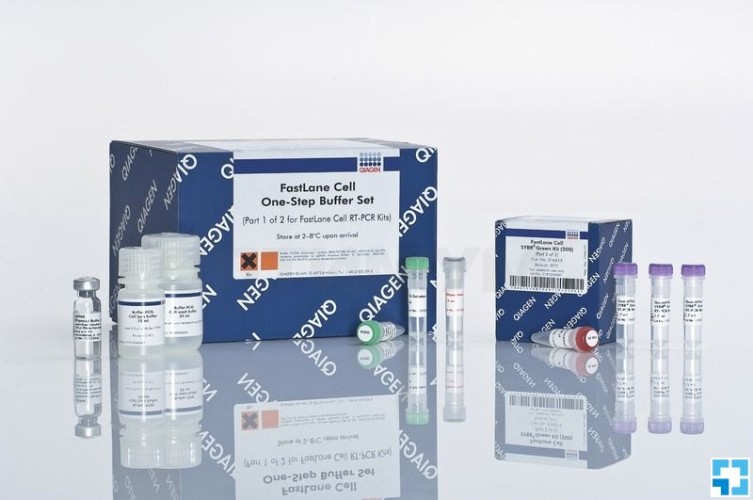 Набор FastLane Cell SYBR Green Kit 200, Qiagen
