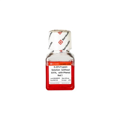 Трипсин, без ЭДТА, с феноловым красным, раствор 0,25%, Servicebio, Китай