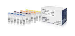 ДНК-полимераза AmpliTaq Gold 360 DNA Polymerase, большой формат, Thermo FS