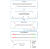 Набор для подготовки NGS библиотек VAHTS Universal DNA Library Prep Kit for Illumina V3, Vazyme