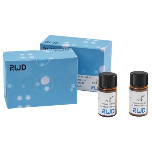 Набор для магнитной сепарации клеток CD4+ (мышь), RWD Life Science