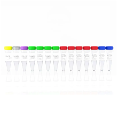 Набор для подготовки NGS библиотек VAHTS Universal DNA Library Prep Kit for Illumina V2, Vazyme