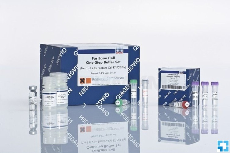 Набор FastLane Cell Multiplex NR Kit 200, Qiagen