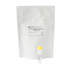 Буфер 5х для реакции секвенирования AMGene DYE v3.1, АМГен Бел