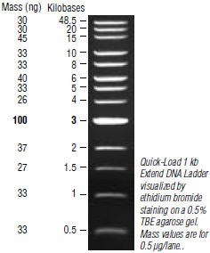 Маркер длин ДНК Quick-Load 1kb Extend DNA, 13 фрагментов от 500-48500 п.н., готовый к применению; 50 мкг/мл, New England Biolabs