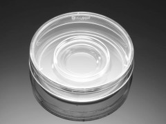 Чашки Петри d 60 мм, с центральной лункой, In Vitro Fertilization, 500 шт./уп., BD