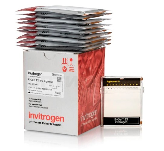 Гель агарозный готовый E-GEL EX, 4%, 10 шт./уп., Thermo FS