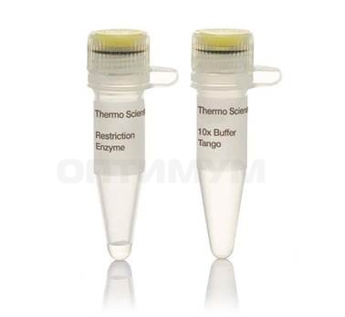 Эндонуклеаза рестрикции Bpu1102I (BlpI), 10 е.а./мкл, Fermentas, Thermo FS