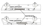Система перфузии iFlow Organ-on-a-Chip, циркуляционная, многоканальная, контроллер с сенсорным экраном, Suzhou Precigenome