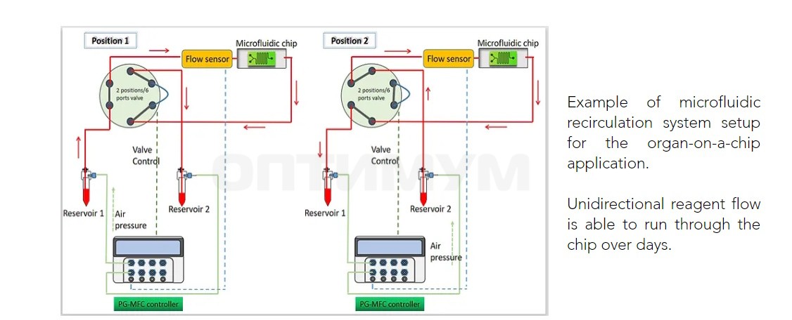 Система перфузии iFlow Organ-on-a-Chip, циркуляционная, многоканальная, контроллер с сенсорным экраном, Suzhou Precigenome