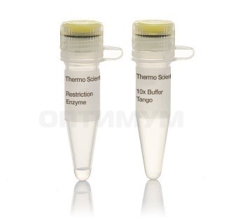 Эндонуклеаза рестрикции Bsu15I (ClaI), 10 е.а./мкл, Fermentas, Thermo FS