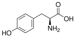 Тирозин-L, более 99%, CAS 60-18-4, MP Biomedicals