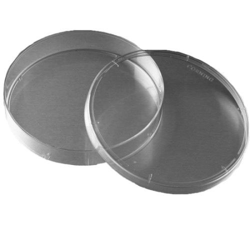 Чашки культуральные, необработанные, d 150 мм, 5 шт./уп., 60 шт./кор, Pyrex (Corning)