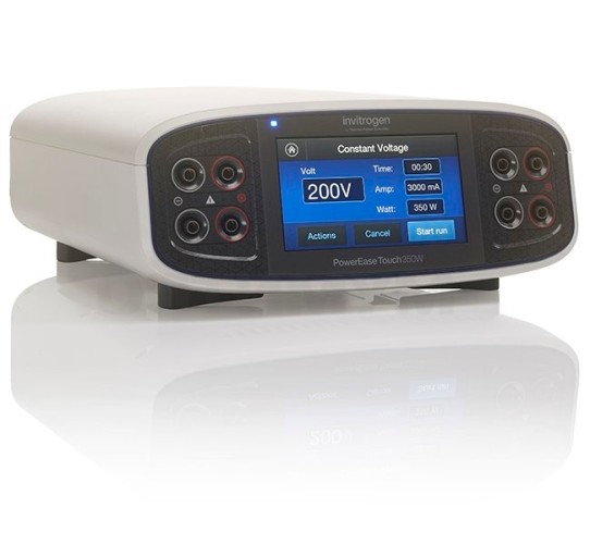 Система мокрого блоттинга SureLock Tandem Midi Gel, размер геля 8 x 13 см, с источником тока PowerEase Touch 350W, Thermo FS