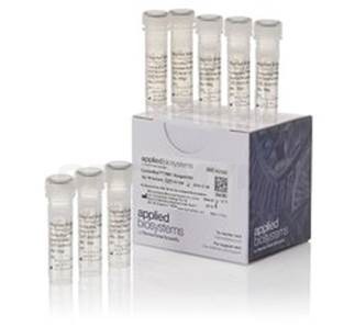 Набор для диагностики синдрома ломкой Х-хромосомы CarrierMax FMR1 Reagent Kit, 48 реакций, Thermo FS