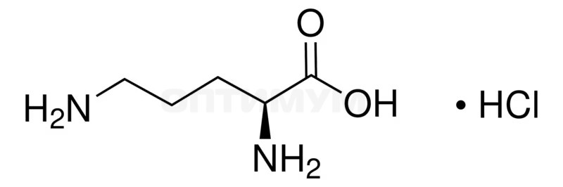 Орнитин-L моногидрохлорид чистый, DAB (pharma grade), CAS 3184-13-2, neoFroxx