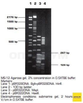 Агароза, низкий EEO, MS-12, Molecular Screening, повышенная четкость разделения фрагментов 50-1500 п.н., diaGene