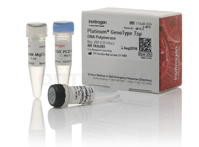 ДНК-полимераза Platinum GenoType Tsp DNA Polymerase, Thermo FS
