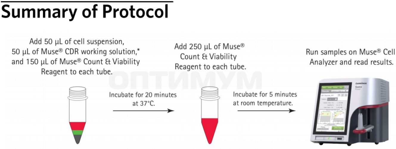 Реагент для диссоциации клеток перед подсчетом Muse Cell Dispersal Reagent, 100 тестов, Luminex