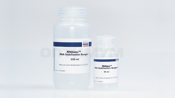 Реагент, стабилизирующий РНК в образцах животных тканей RNAlater, Qiagen