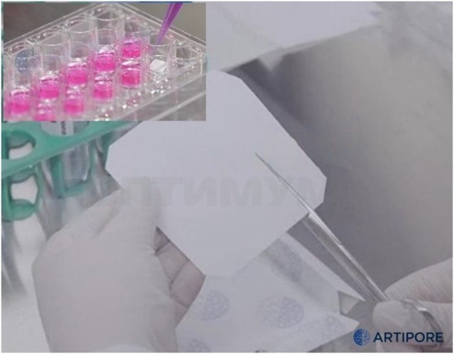 Биосовместимая нановолокнистая подложка на основе гидрогеля NanoFibers, толщина подложки 60 мкм, ST1