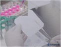 Биосовместимая нановолокнистая подложка на основе гидрогеля NanoFibers, толщина подложки 60 мкм, ST1