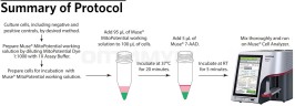 Набор для анализа митохондриального потенциала Muse MitoPotential Kit, 100 тестов, Luminex