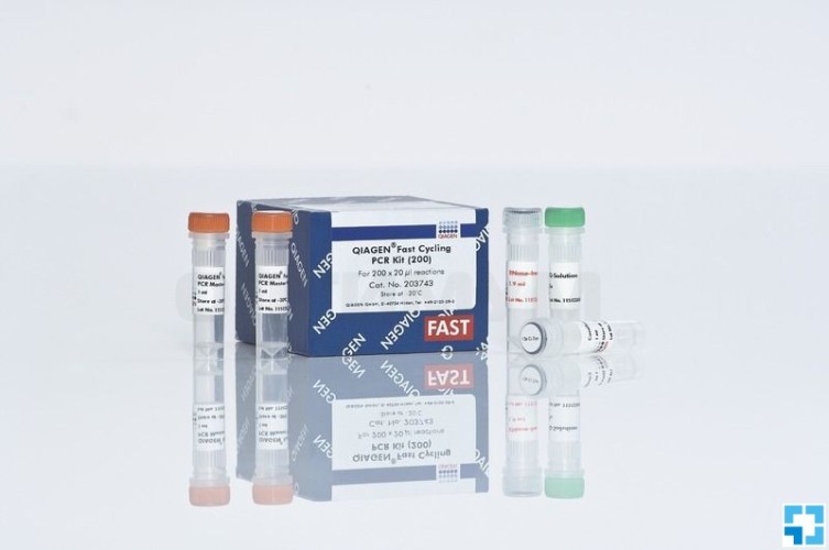 Мастер-микс для ПЦР Fast Cycling PCR Kit, с ДНК-полимеразой с "горячим" стартом HotStarTaq Plus, для быстрой амплификации, Qiagen