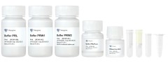 Набор для выделения тотальной РНК из растений FastPure (с высоким содержанием полисахаридов и полифенолов), Vazyme