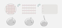 Чашки Петри с покровными пластинами CellSLIP 100 мм, диаметр пластины 10 мм, количество пластин 32 шт., ТС-обработаны, стерильные, Jet Biofil
