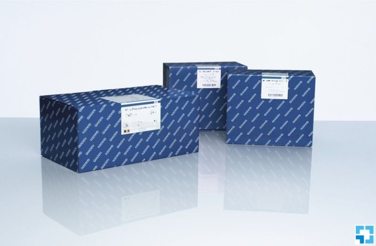 Набор для выделения суммарной ДНК из человеческого кала QIAamp Fast DNA Stool Mini Kit, Qiagen
