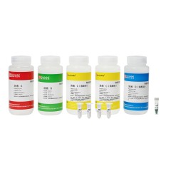 Набор реагентов для заливки гелей Tris-HCl на системе Т-20 v1.1, Servicebio, Китай